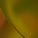 Card icon